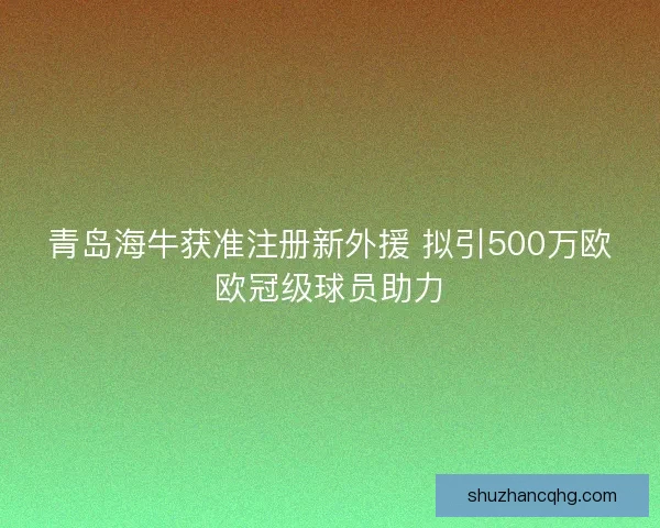 青岛海牛获准注册新外援 拟引500万欧欧冠级球员助力