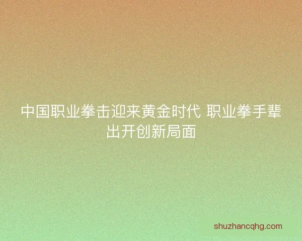 中国职业拳击迎来黄金时代 职业拳手辈出开创新局面